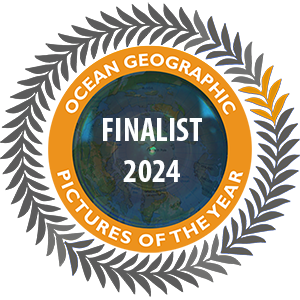 Ocean Geographic Finalist 2024