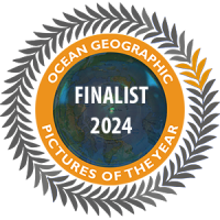 Ocean Geographic Finalist 2024